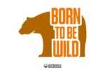 Bord To Be Wild SVG Vector Image 1