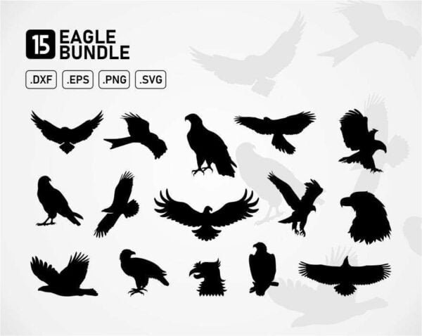 eagle svg cut files vector silhouette bundle