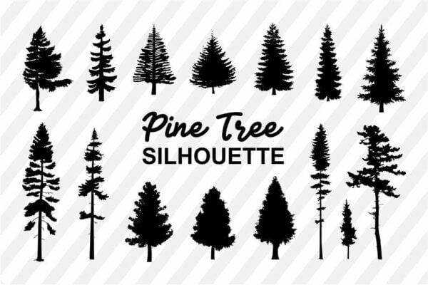 pine trees silhouette svg Vectorency Pine Trees Silhouette SVG Bundle