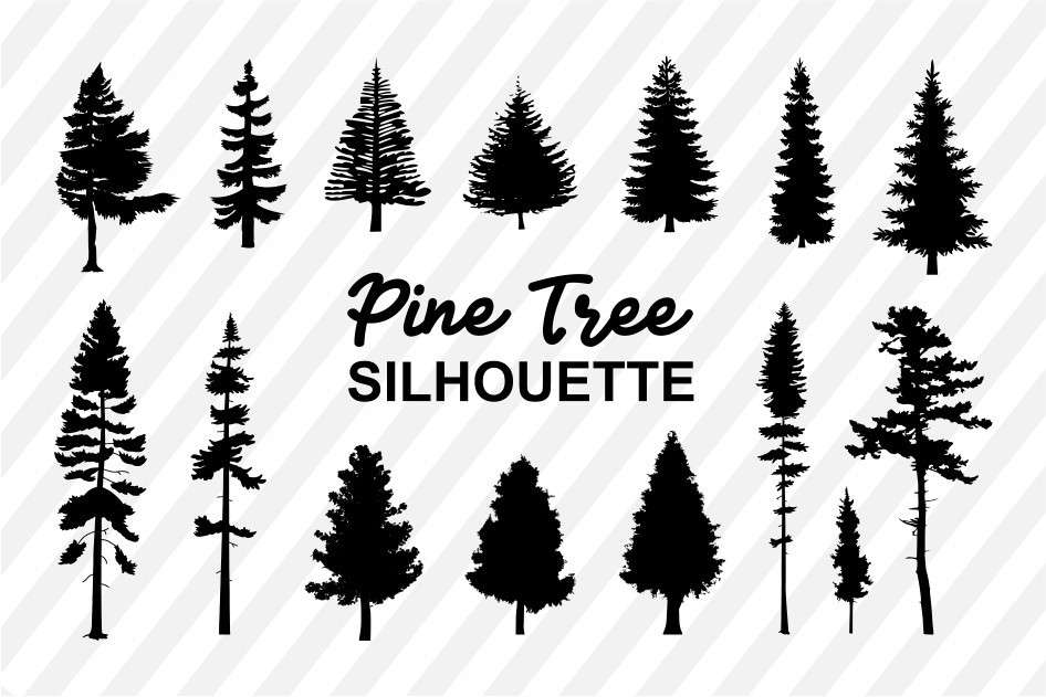 Pine Trees Silhouette SVG Bundle | Vectorency