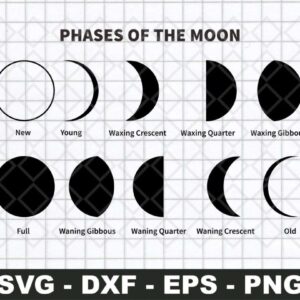 Moon Phases SVG