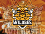 wildbee bee logo esport vector