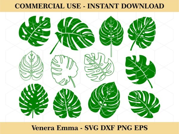 Monstera Leaf SVG