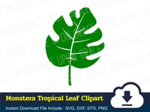Monstera Tropical Leaf Clipart