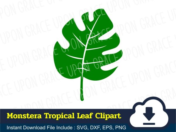 Monstera Tropical Leaf Clipart