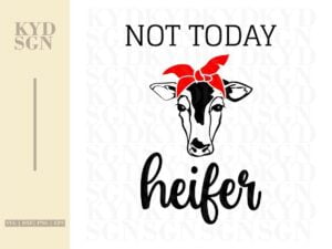 Not Today Heifer