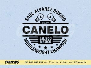 Saul Alvarez Boxing