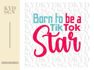 Born To Be A TikTok Star