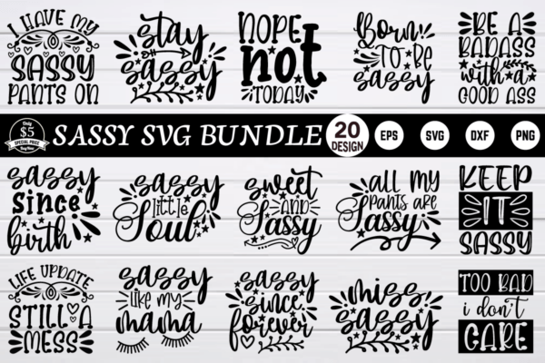 bundle pew 1 1 Vectorency Sassy SVG Bundle Vol 4