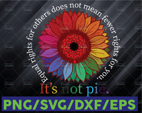 WTMETSY16122020 06 120 Vectorency Equal Rights For Others Does Not Mean Fewer Rights For You It's Not Pie SVG Equal Right Svg, LGBT Pride Rainbow Daisy
