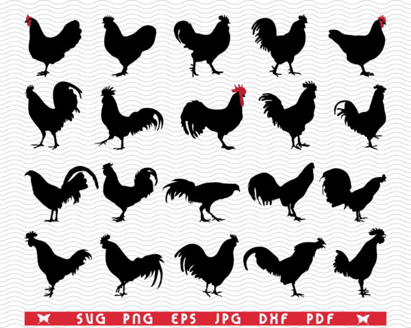 pozadina 1 scaled Vectorency Roosters Hens