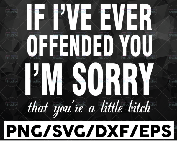 WTMETSY16122020 01 44 Vectorency If I've Ever Offended You I'm Sorry SVG, You're Such a Little Bitch SVG PNG, Cut File, Sublimation File