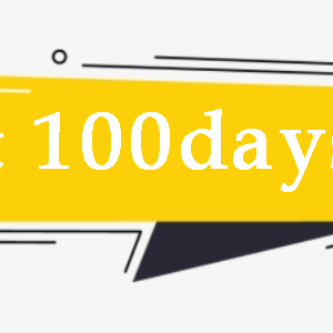 Craft100days