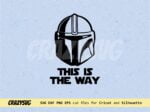 This is the way the mandalorian