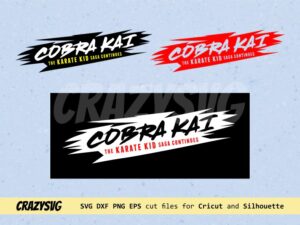 Cobra Kai The Karate Kids Saga Continues