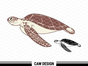sea turtle svg