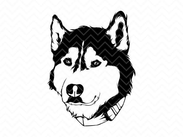 siberian husky vector image with svg png dxf dog silhouette file