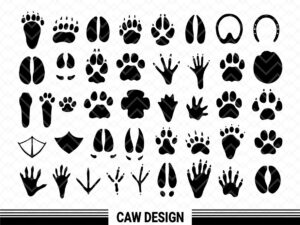 Animal Paw SVG Bundle Paw Print Vector Clipart