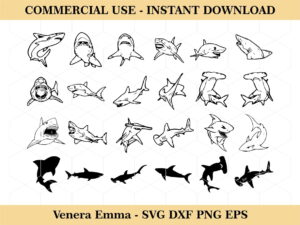 Shark SVG, Shark Cricut File, Shark Silhouette