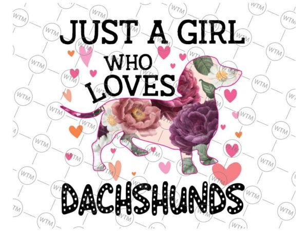 VC WTM CV DAD19 Vectorency Just A Girl Who Loves Dachshunds Dog School Gift PNG sublimation design downloads, digital download Dachshunds Dog