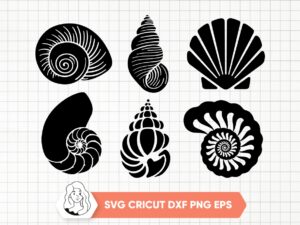 Seashell-SVG-Cut-File-Seashell-Silhouette-PNG-Vector-Sea-World