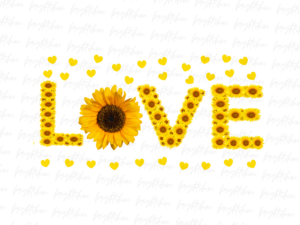 Love sunflower PNG File