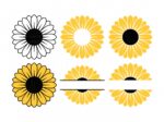 Sunflower Round Frame SVG, Sunflower vector monogram, Plant illustration