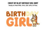 Cricut DIY bluey birthday girl shirt PNG, Sublimation, Vector file