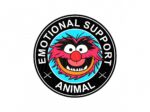 Emotional Support Animal Graphic Image Download, SVG, PNG EPS