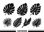Cricut Leaves SVG, Tropical Leaf, Palm Clipart