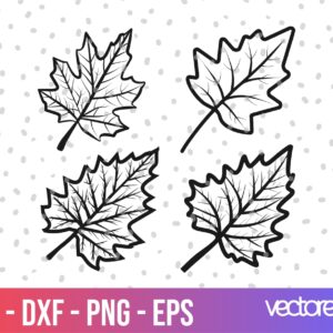 fall leaf svg, leaf clipart