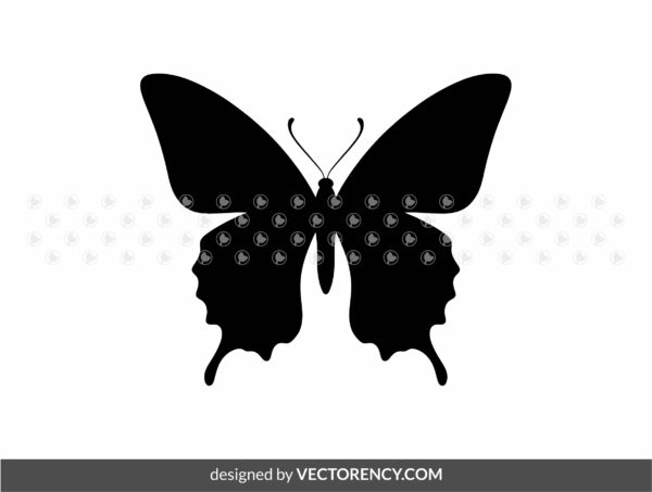 Butterfly SVG cut files