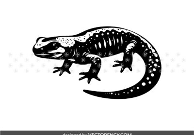 Salamander Vector SVG